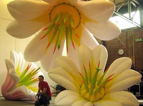 Гигантские цветы "Лилия"